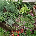 Panorama 아파트 *