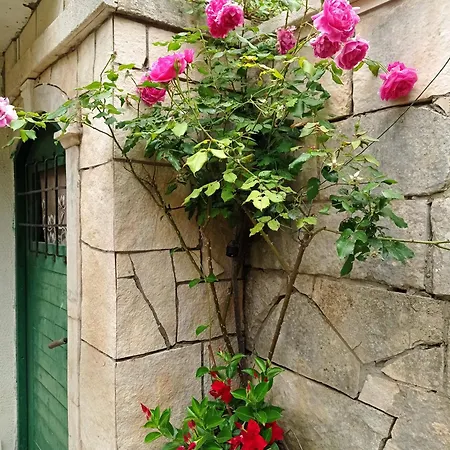 Apartamento Panorama