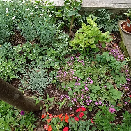 Panorama Apartment *